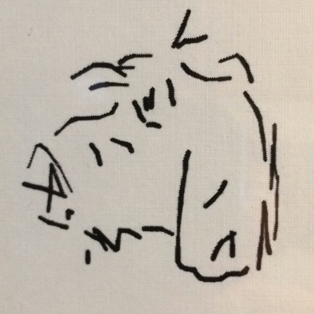 Meet your Posher, Kate